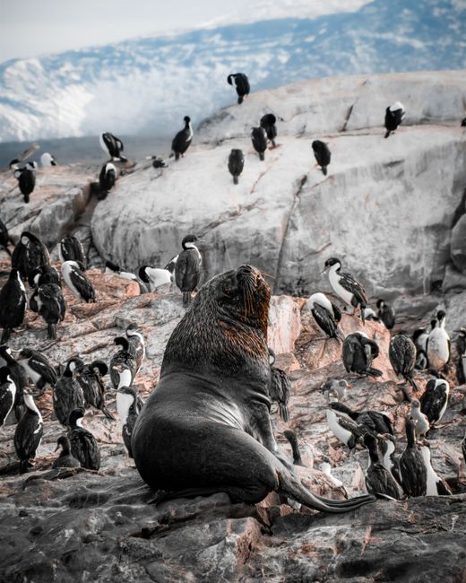 Descoperă biodiversitatea marină la Zoo Brașov de Ziua Internațională a Mediului Marin