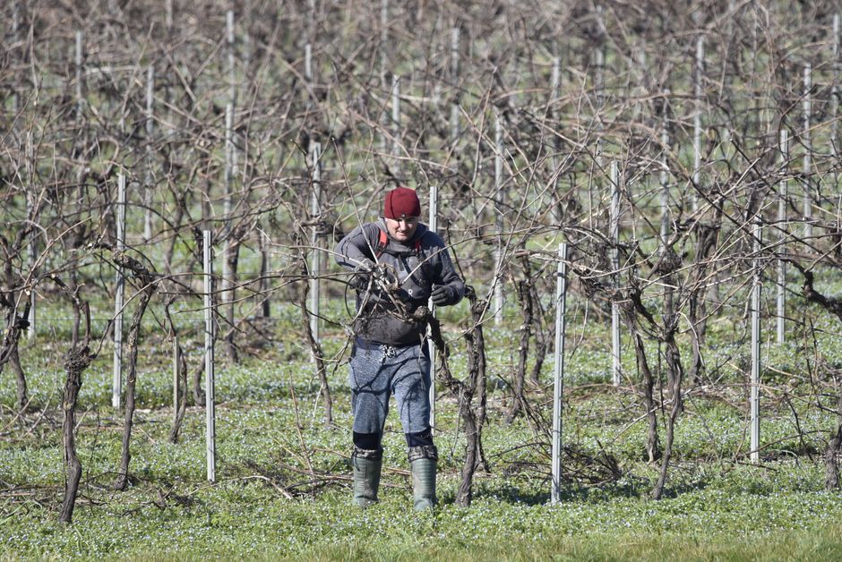 Exploatarea muncitorilor români în Italia: condiții inumane și salarii substanțial reduse