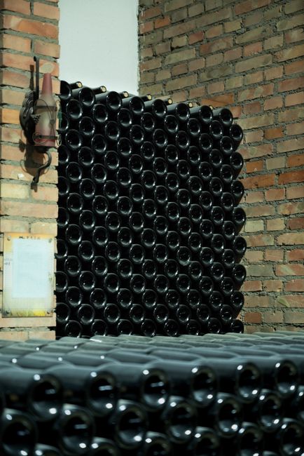 Atenție: pericolele ascunse ale fermentației în beciuri
