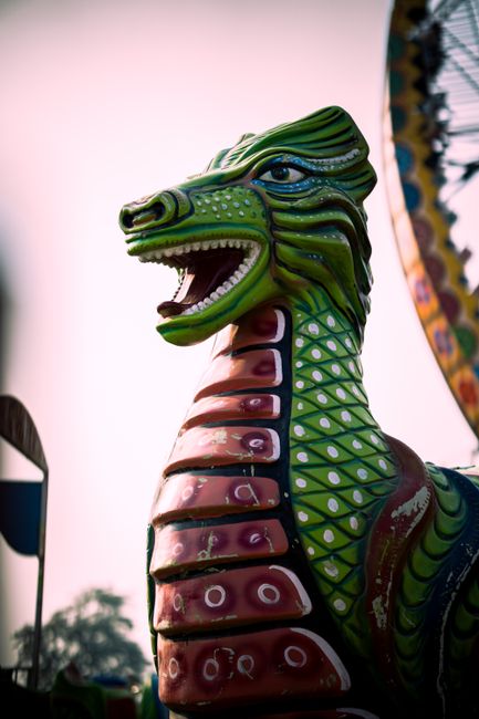 Weekend plin de evenimente la Palas: competiție canină, artă și dragoni animatronici