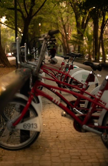 Hunedoara avansează cu modernizarea Parcului Central: prima pistă de biciclete este gata!