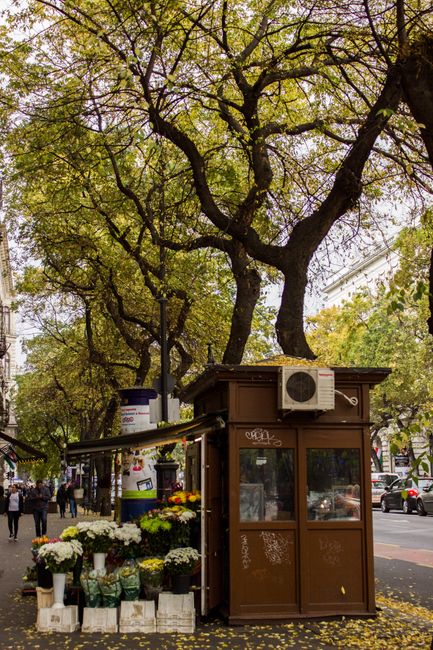 Bucureștiul își modernizează chioșcurile de flori: ce noutăți ne așteaptă