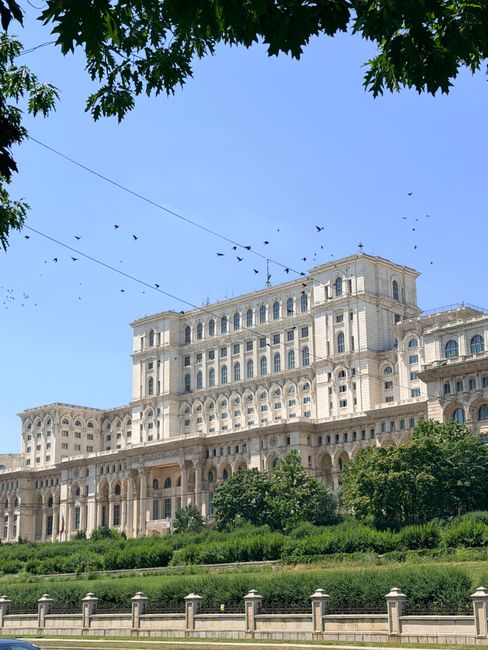 IMM România cere urgent o extensie a termenului pentru actualizarea codurilor CAEN