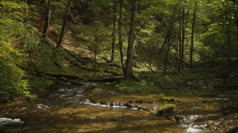 Geoparcul Ţara Haţegului, o voce a sustenabilității în Polonia