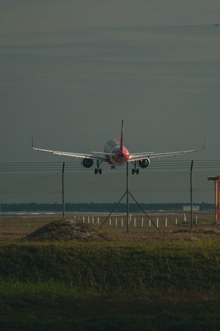 Avion de pasageri, aterizare de urgență pe Aeroportul Otopeni după impact cu o pasăre