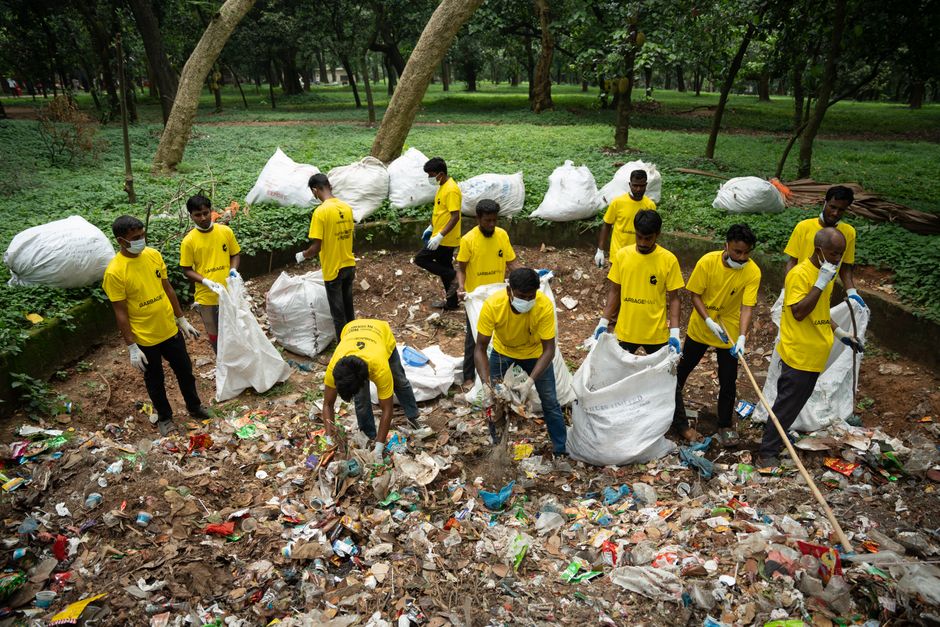 Programul de colectare a deșeurilor reciclabile în Bezdead: ce trebuie să știi