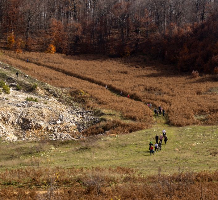 Reșița găzduiește din nou AlerGând la Pădure: explorări în natură și istorie