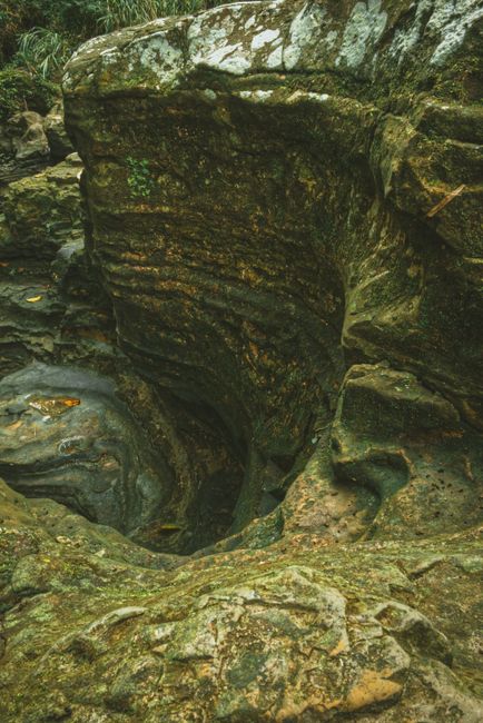 Explorări fascinante în lumea subterană: elevii sunt invitați la Peștera Meziad și Peștera cu Cristale