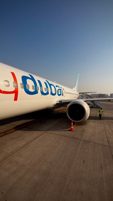 Amenințarea de atac sinucigaș pe aeroportul din Tel Aviv: detalii șocante despre copilotul Flydubai