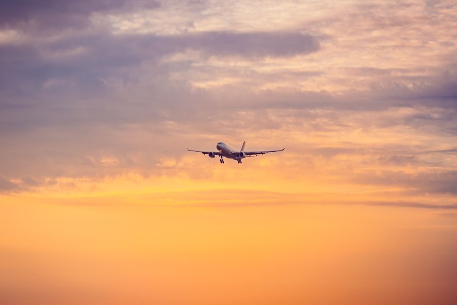 AnimaWings, compania aeriană din Iași, a depus cerere de insolvență