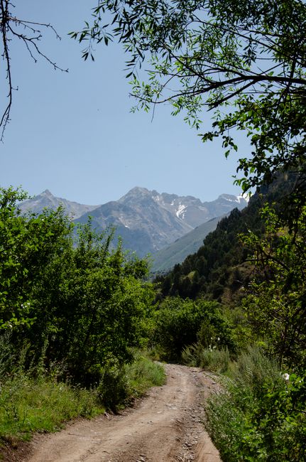 Nou traseu montan în Munții Zărandului, destinat iubitorilor de natură