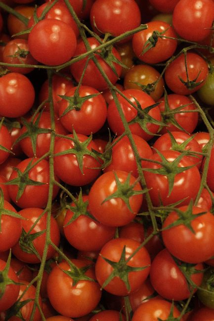 Roșia: fruct sau legumă? Află ce spune expertul în nutriție