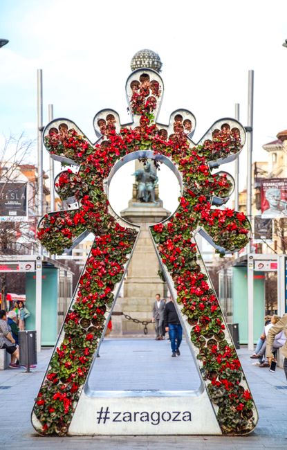 Un stâlp din Arad devine o operă de artă florală