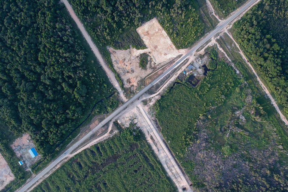 Defrișarea vegetației de pe drumurile județene, o măsură pentru fluidizarea traficului