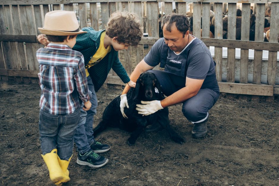 Polițiștii dâmbovițeni sărbătoresc Ziua Internațională a Animalelor cu activități educaționale pentru tineri