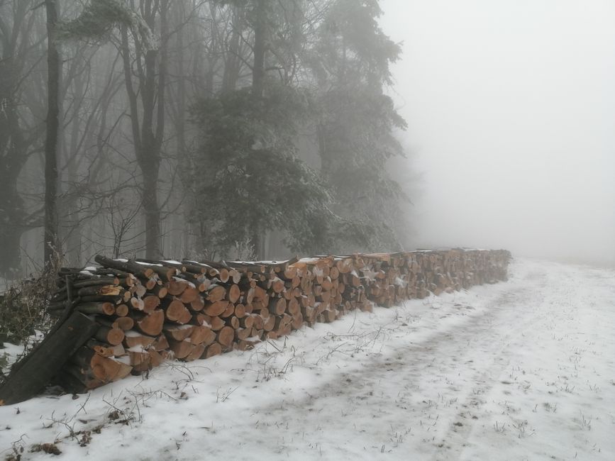 Gorjenii își asigură lemnul de foc pentru iarnă: 23.000 de metri cubi livrați