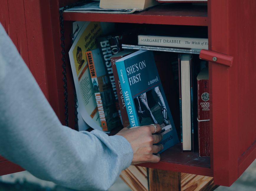 Biblioteca Municipală Caransebeș aduce 126 de titluri noi pentru cititori
