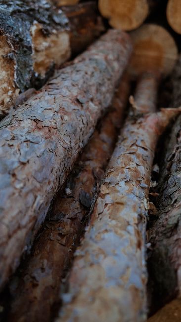 Controale riguroase în Bihor: zeci de metri cubi de lemn confiscat