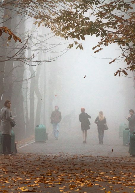 Vremea din Satu Mare: Ce temperaturi ne așteaptă săptămâna viitoare