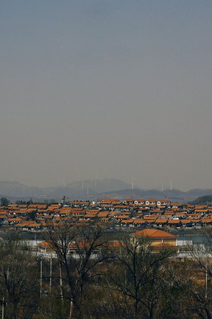 Explorând conceptul de acasă: Comunitatea, cheia unei vieți împlinite