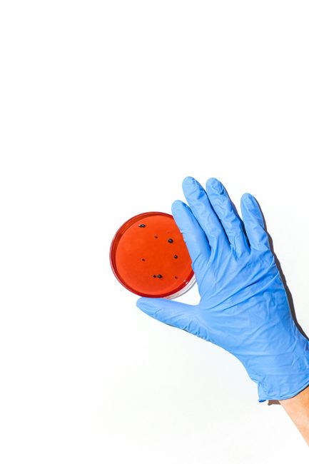 Controale DSVSA Bihor: alimente contaminate și măsuri drastice