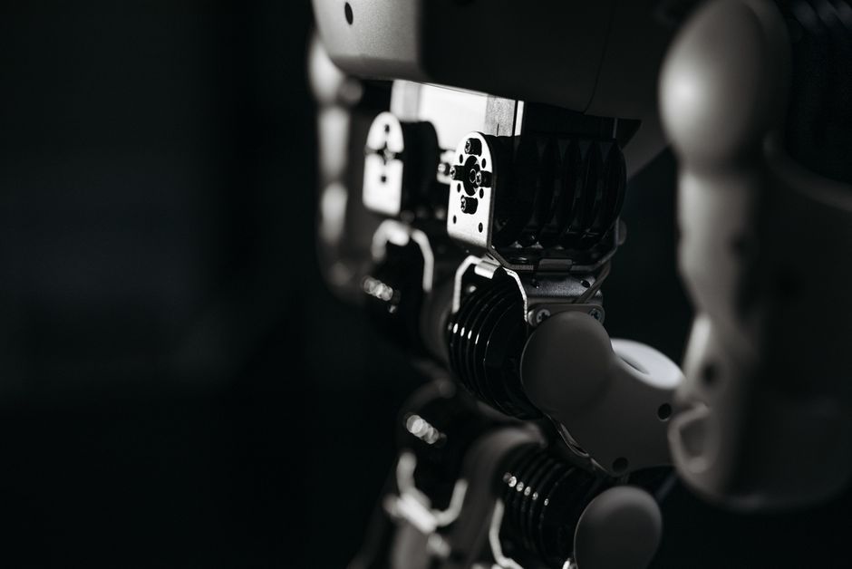 Incident șocant în Germania: o adolescentă hărțuită de un robot controlat de tineri