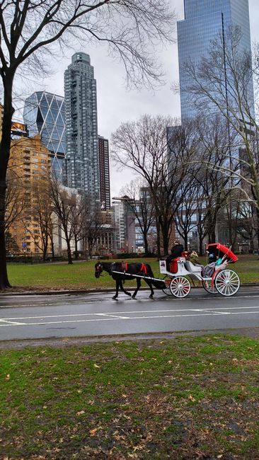 New York interzice căruțele cu cai: o schimbare majoră pentru siguranța orașului