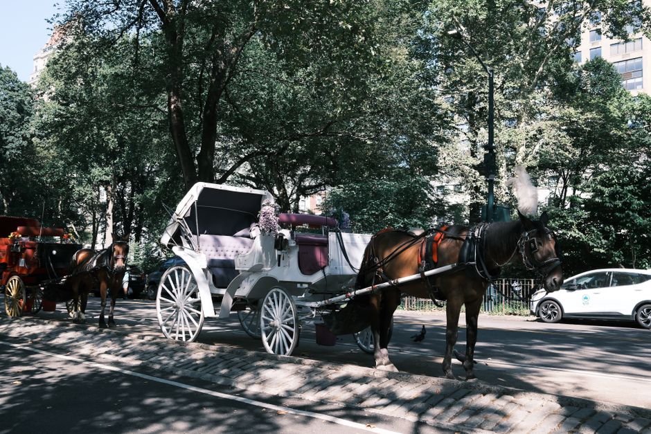 New York renunță la trăsurile cu cai: o tradiție de peste 150 de ani se încheie