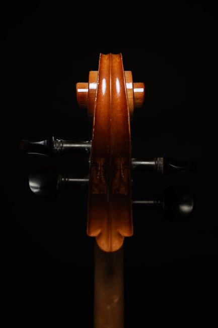 Descoperă magia viorii: un turneu dedicat tradiției muzicale românești
