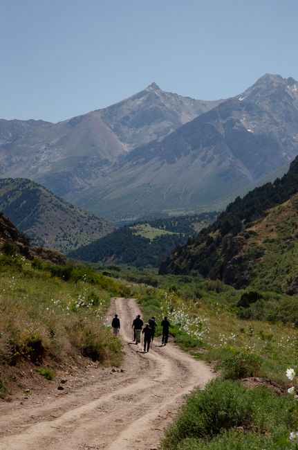 Explorează natura: drumeție pe Scaunul Domnului în Mureș