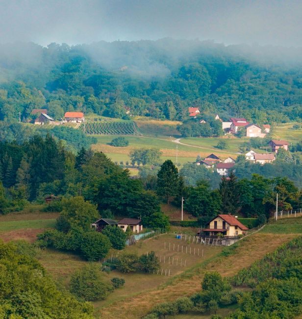 Cum a revitalizat o familie din Gorj turismul agroturistic cu produse locale