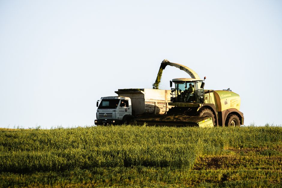 Zelenski cere ajutorul țărilor vecine pentru transportul cerealelor