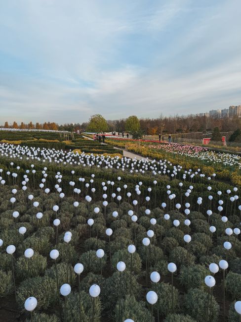 Descoperă magia Grădinii Botanice din București cu un milion de luminițe și sculpturi impresionante