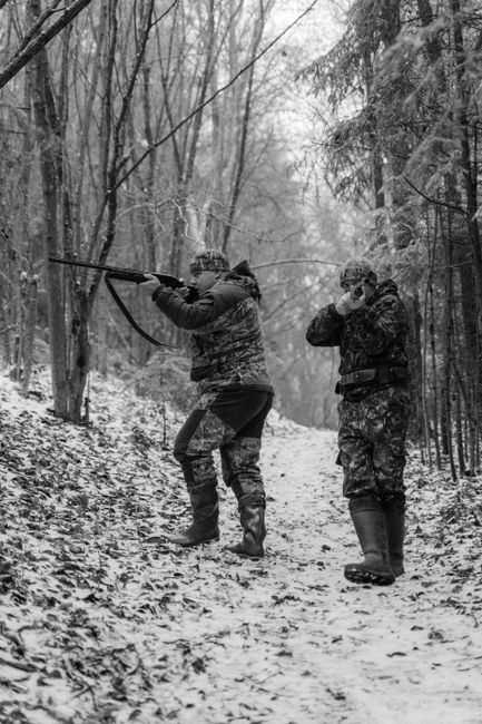 Capturat în flagrant: un bărbat din Bihor a vânat un iepure de 7 kilograme cu o armă ilegală
