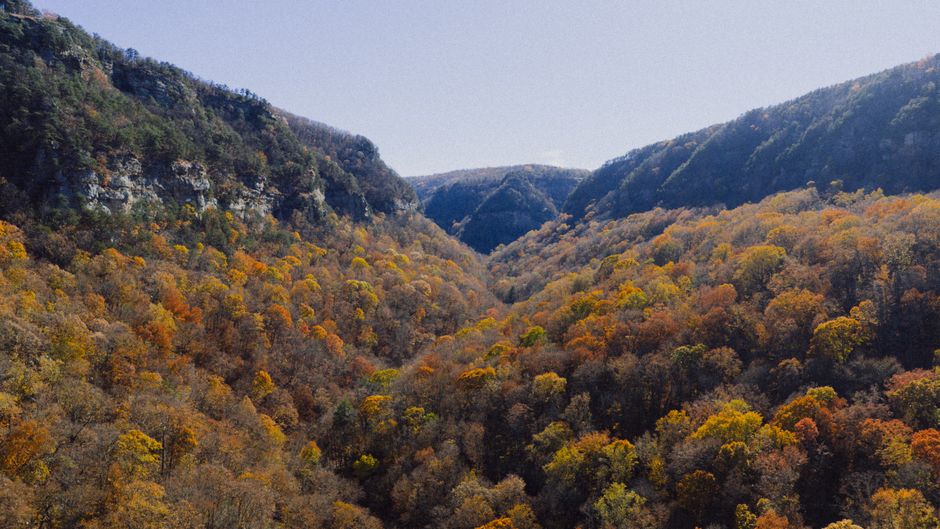 Descoperă magia toamnei în Defileul Jiului: un colț de natură neexplorat