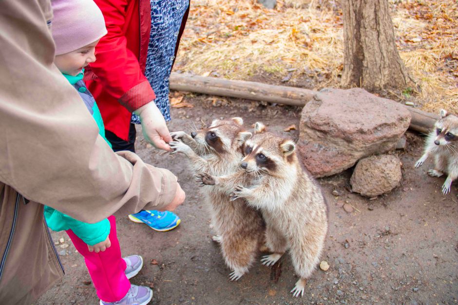 Descoperiri fascinante la Zoo: Prichindeii din Pucioasa trăiesc o zi de neuitat