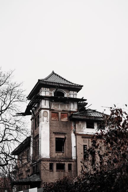 Descoperire șocantă într-o clădire abandonată din Târgu Jiu