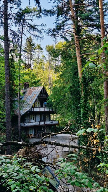 Descoperă MRS Residence Sinaia: un refugiu montan în mijlocul naturii