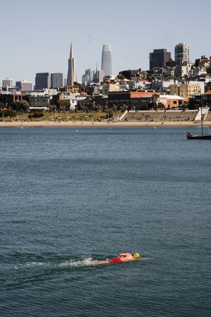 Sportiva care a înotat 1.448 km pe coasta Californiei, înfruntând provocări extreme