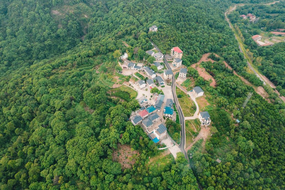Conflictul dintre un influencer și primărie: pășune sau pădure în Sacalasău Nou?