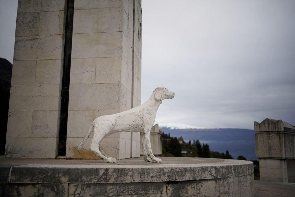 Un monument uitat: George Țărnea și absența numelui său în Râmnicu Vâlcea