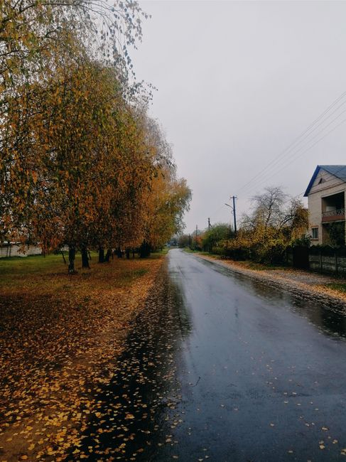 Prognoza meteo pentru 27 octombrie: vreme rece și ploi abundente în întreaga țară