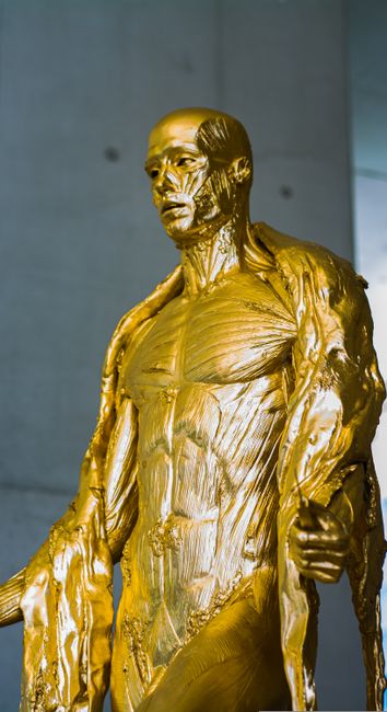 Descoperă expoziția captivantă de sculptură „forUman” la Casa cu Lei din Bistrița