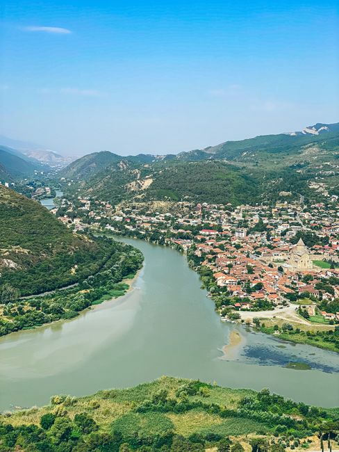 Eforturi neobosite pentru salvarea celui mai rar pește de apă dulce din Europa