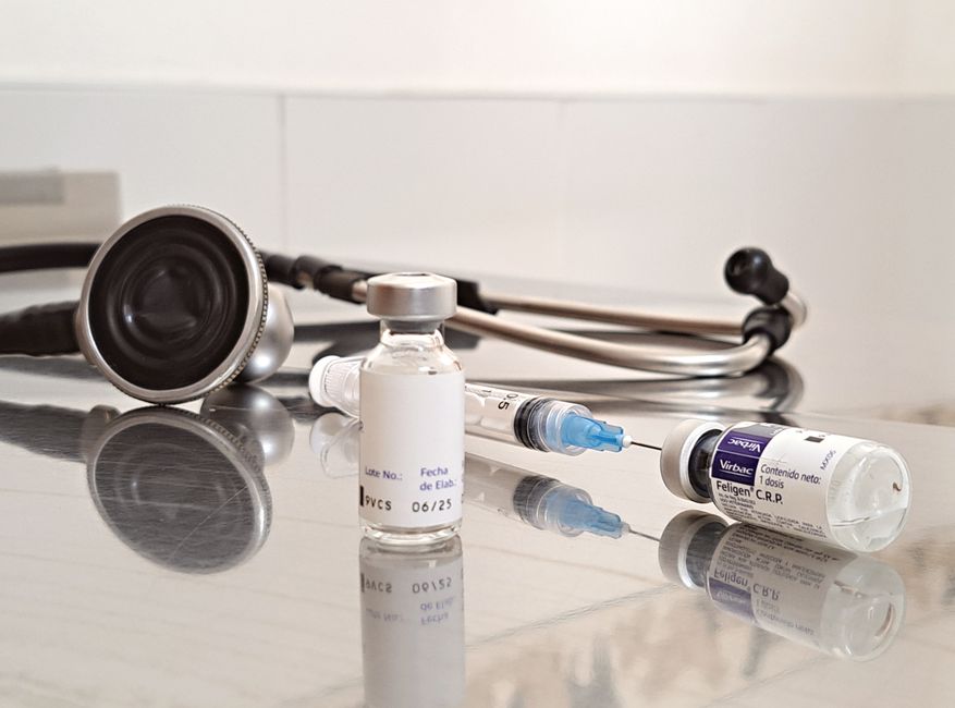 Viceprimar din Dâmbovița, suspectat că a practicat ilegal medicina veterinară