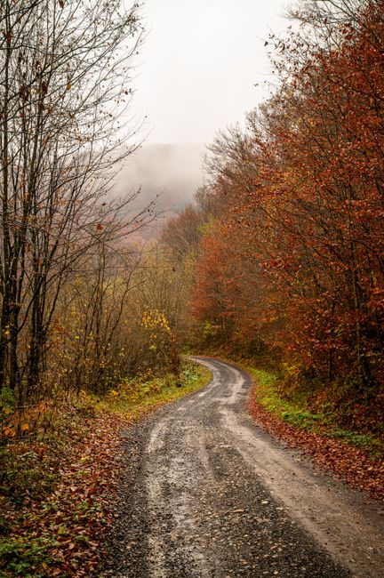 Explorarea toamnei în Valea Jiului: drumul din Petroșani spre Parâng