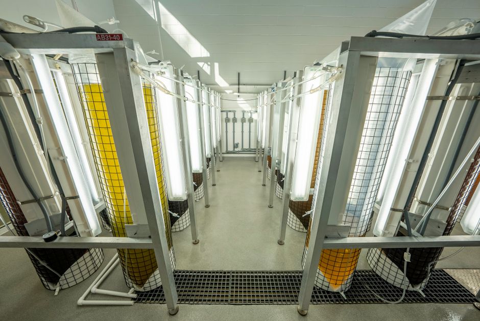 Investiție majoră în sănătate: Noul centru de diagnostic pentru tuberculoză deschis la București