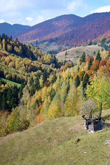 Prognoza meteo pentru noiembrie: ce ne așteaptă în următoarele patru săptămâni