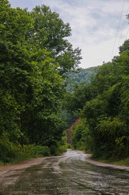 Atenționare meteo: ploi abundente în Botoșani până la seară