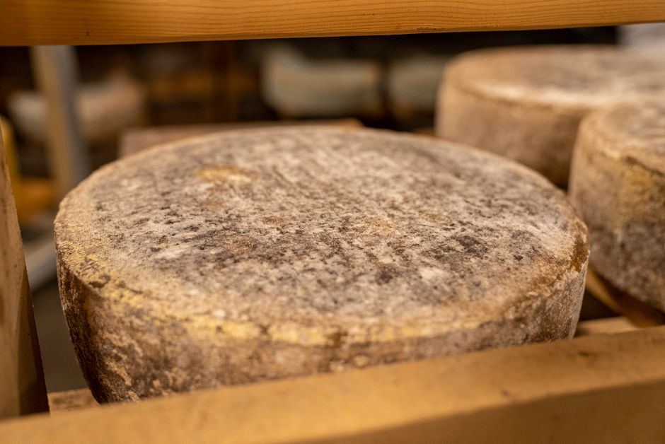 Cocaină de miliarde, ascunsă în brânza Gouda: cum a fost demontată rețeaua britanică